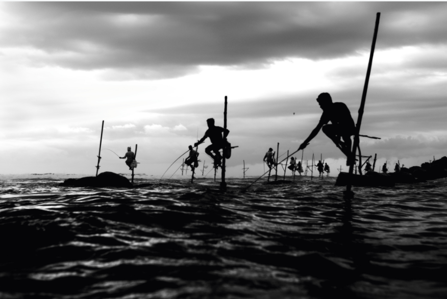 Stilt Fishermen (2015)