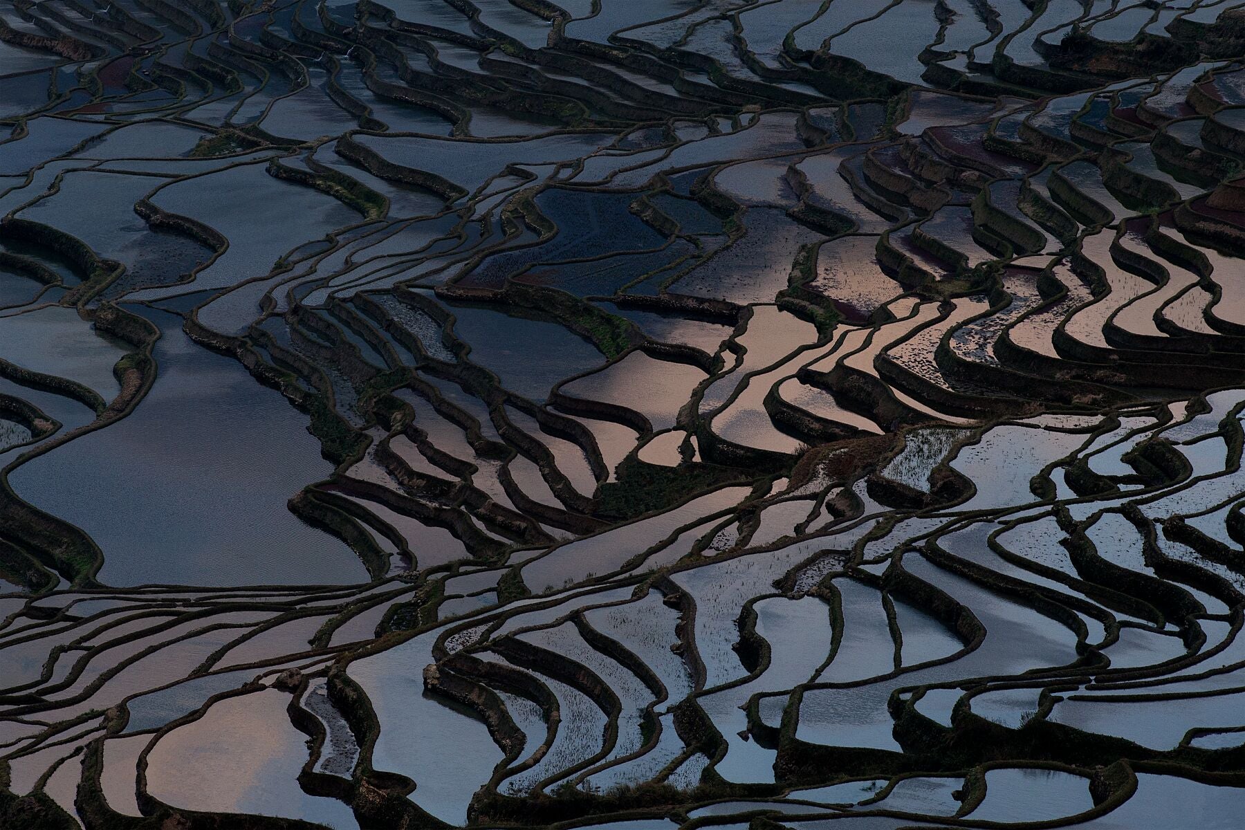 Rice Terraces of Honghe, 2019