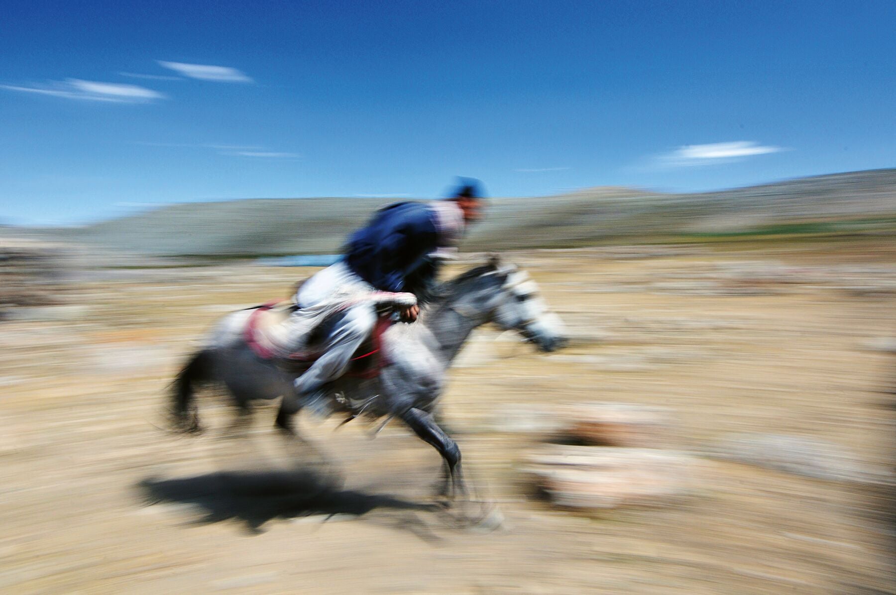 Afghan Horseman, 2011