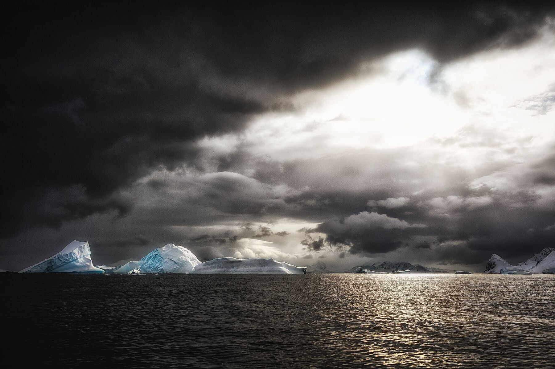 Antarctic Study I, 2015